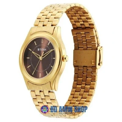 Titan Karishma Zing 1648YM06 Quartz Analog Watch – Green Dial & Stainless‑Steel Strap for Men